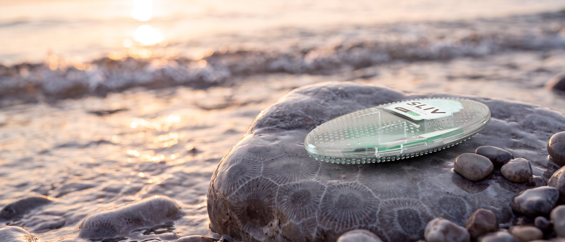 A SLIV case resting on a Petoskey stone at the edge of Lake Michigan