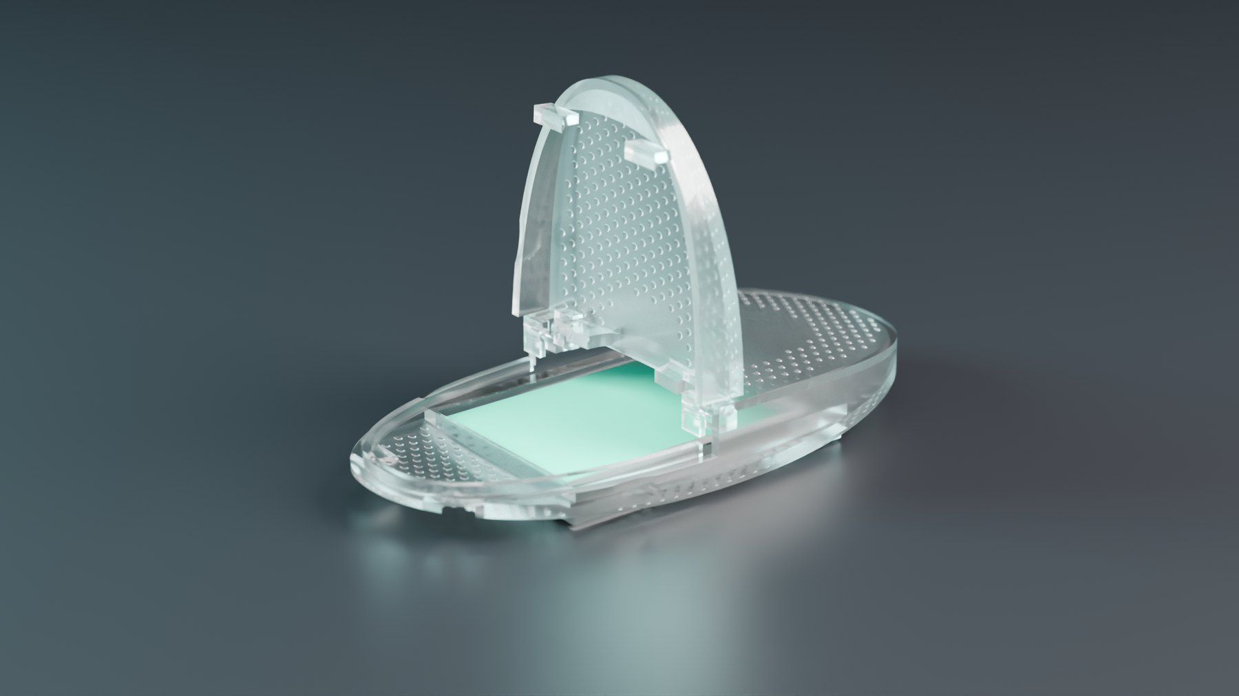SLIV case open with mint strips