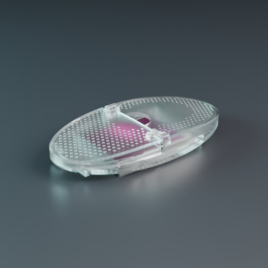 SLIV Mixed Berry case