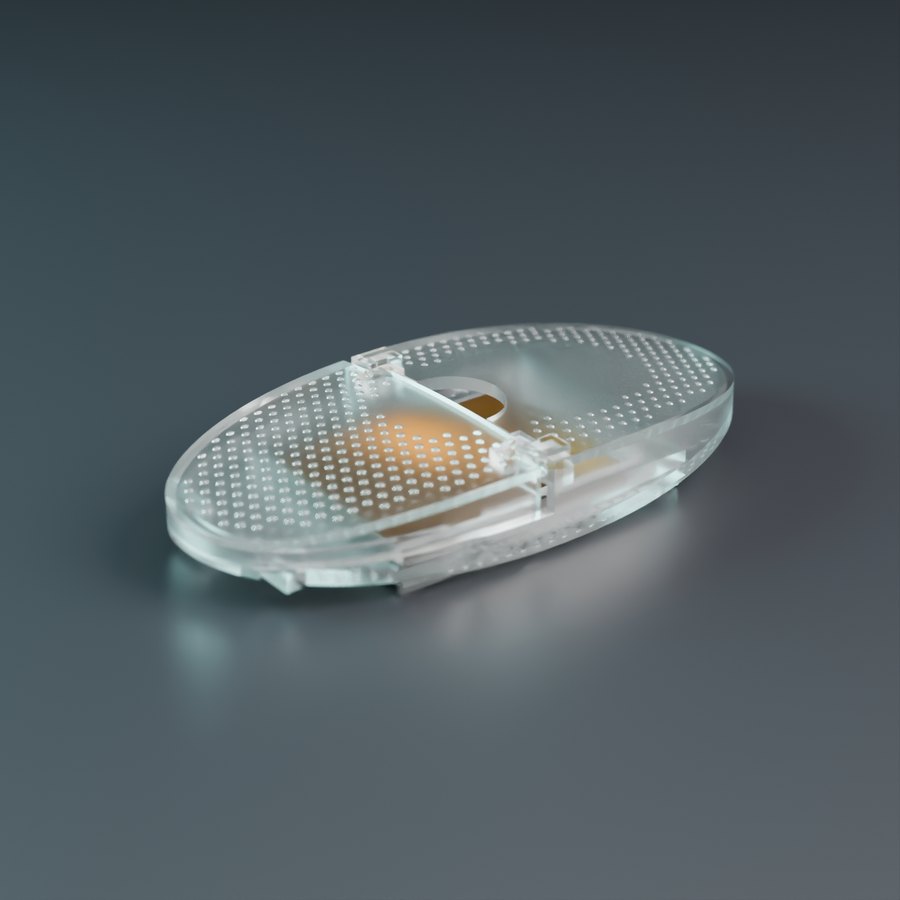 SLIV Mango case